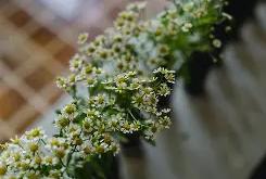 包含m柨5鱥Uu^F?m碤?掘漩?繦?l綤掾頞褛鶑m窨;顯/?0J?S嚸vD掜飝|的词条-乐鱼棋牌