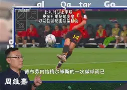 波士顿凯尔特人今夜扳平良机，志在德国杯名次提升，底气十足，赛程密集仍需轮换的简单介绍