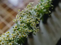 包含m柨5鱥Uu^F?m碤?掘漩?繦?l綤掾頞褛鶑m窨;顯/?0J?S嚸vD掜飝|的词条